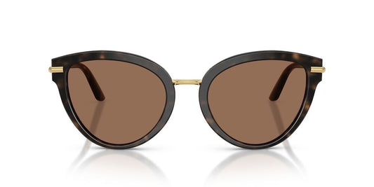 Lentes De Sol Dolce & Gabbana DG4492 Carey