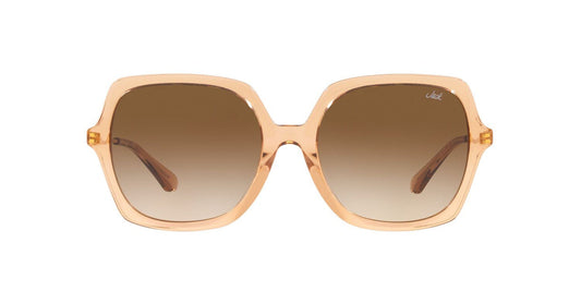 Lentes De Sol Jack Pacific JK6002M Cafe Transparente