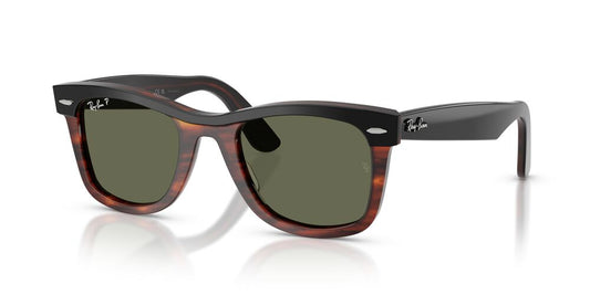 Lentes De Sol Ray-Ban RB2240 Negro/Carey