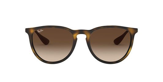 Lentes De Sol Ray-Ban RB4171 Carey/Plateado