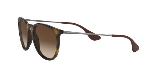 Lentes De Sol Ray-Ban RB4171 Carey/Plateado