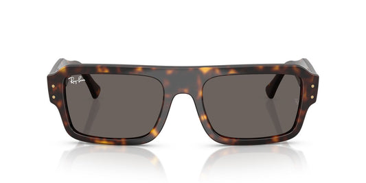 Lentes De Sol Ray-Ban RB4454 Carey