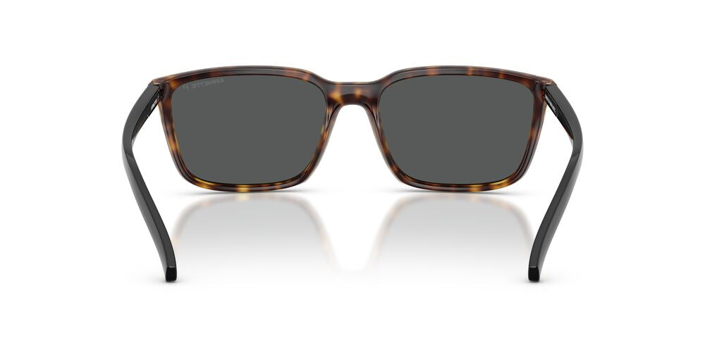 Lentes De Sol Arnette AN4311 Carey