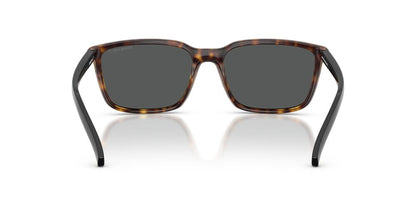 Lentes De Sol Arnette AN4311 Carey