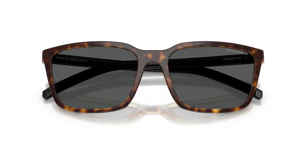 Lentes De Sol Arnette AN4311 Carey