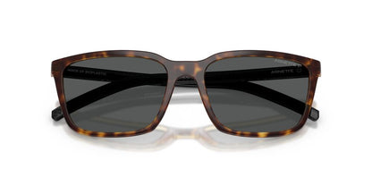 Lentes De Sol Arnette AN4311 Carey