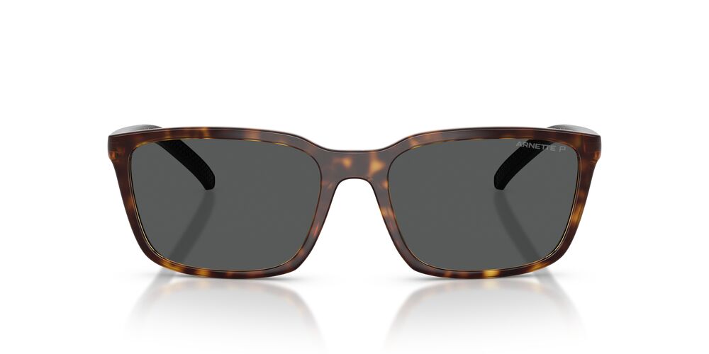 Lentes De Sol Arnette AN4311 Carey