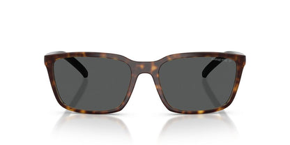 Lentes De Sol Arnette AN4311 Carey