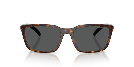 Lentes De Sol Arnette AN4311 Carey