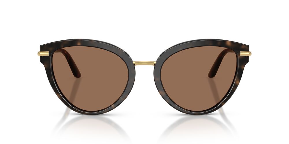 Lentes De Sol Dolce & Gabbana DG4492 Carey