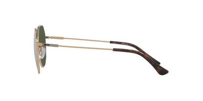 Lentes Oftálmicos Jean Monnier J82022V Dorado