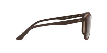 Lentes De Sol Jack Pacific JK1020M Cafe Oscuro