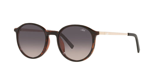 Lentes De Sol Jack Pacific JK1026M Carey