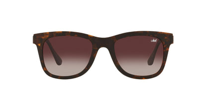 Lentes De Sol Jack Pacific JK1027M Carey
