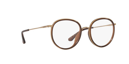 Lentes Oftálmicos Jack Pacific JK3010V Dorado/Cafe