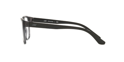 Lentes Oftálmicos Jack Pacific JK4019M Gris Transparente