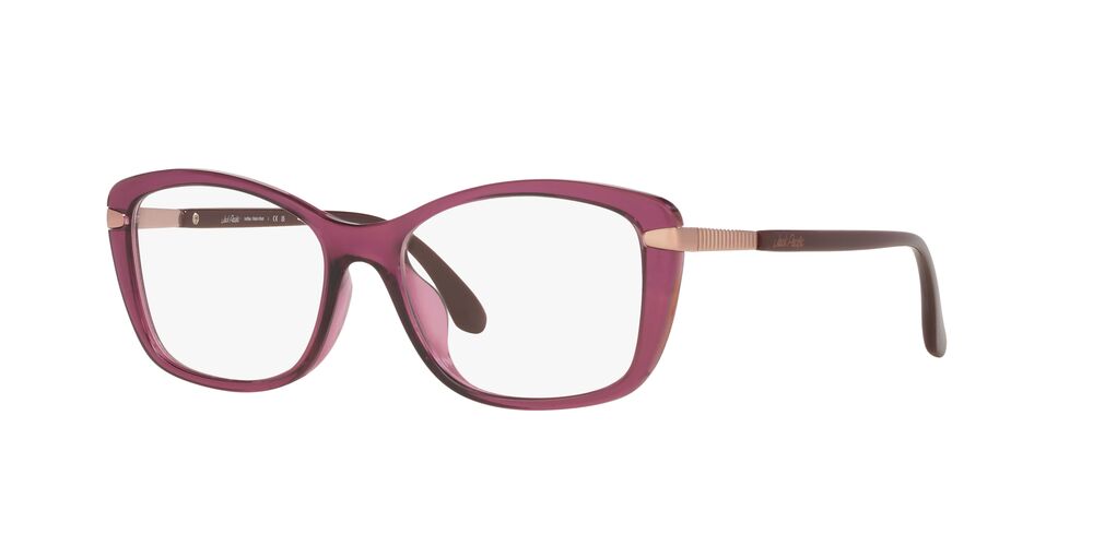 Lentes Oftálmicos Jack Pacific JK4042U Purpura Transp