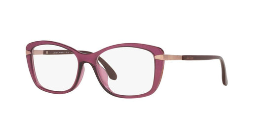 Lentes Oftálmicos Jack Pacific JK4042U Purpura Transp