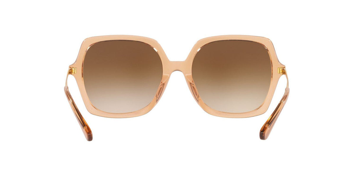 Lentes De Sol Jack Pacific JK6002M Cafe Transparente
