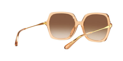 Lentes De Sol Jack Pacific JK6002M Cafe Transparente