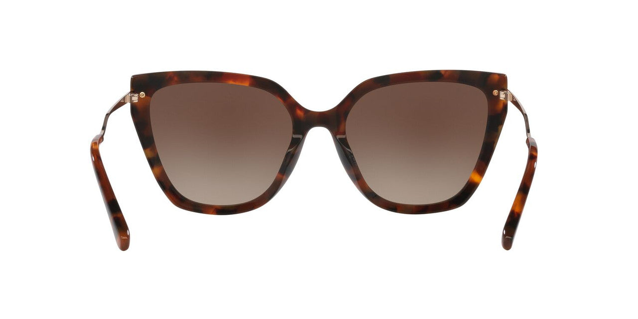 Lentes De Sol Jack Pacific JK6005U Carey