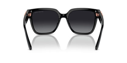 Lentes De Sol Michael Kors MK2170U Negro