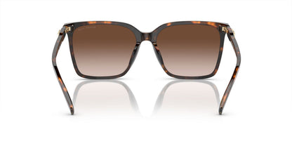 Lentes De Sol Michael Kors MK2197U Carey