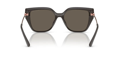 Lentes De Sol Michael Kors MK2231U Cafe