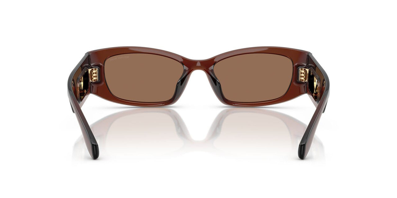 Lentes De Sol Michael Kors MK2243U Cafe Transparente