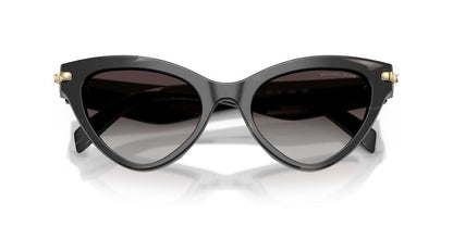 Lentes De Sol Michael Kors MK2259U Negro
