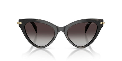 Lentes De Sol Michael Kors MK2259U Negro