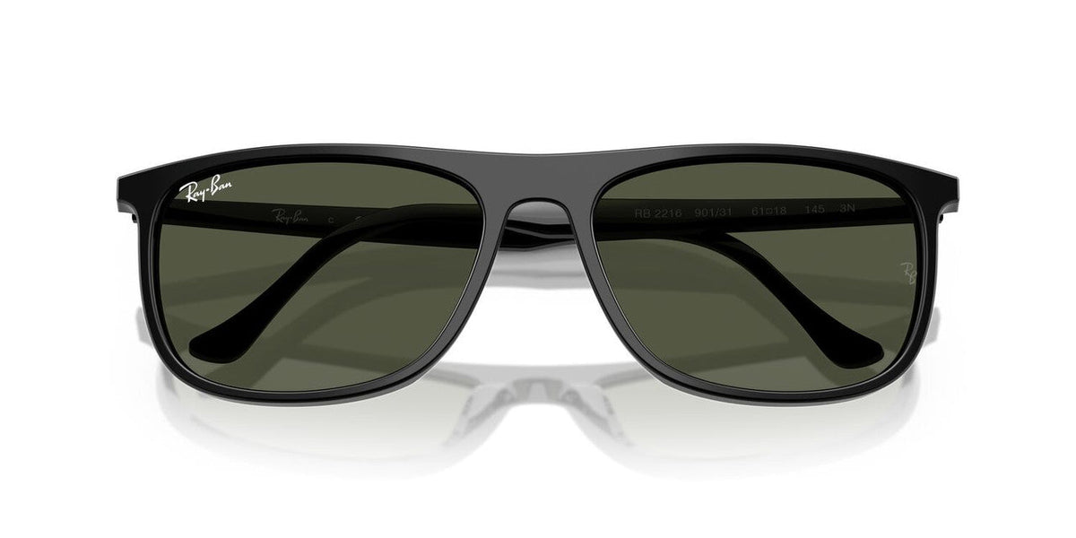 Lentes De Sol Ray-Ban RB2216 Negro