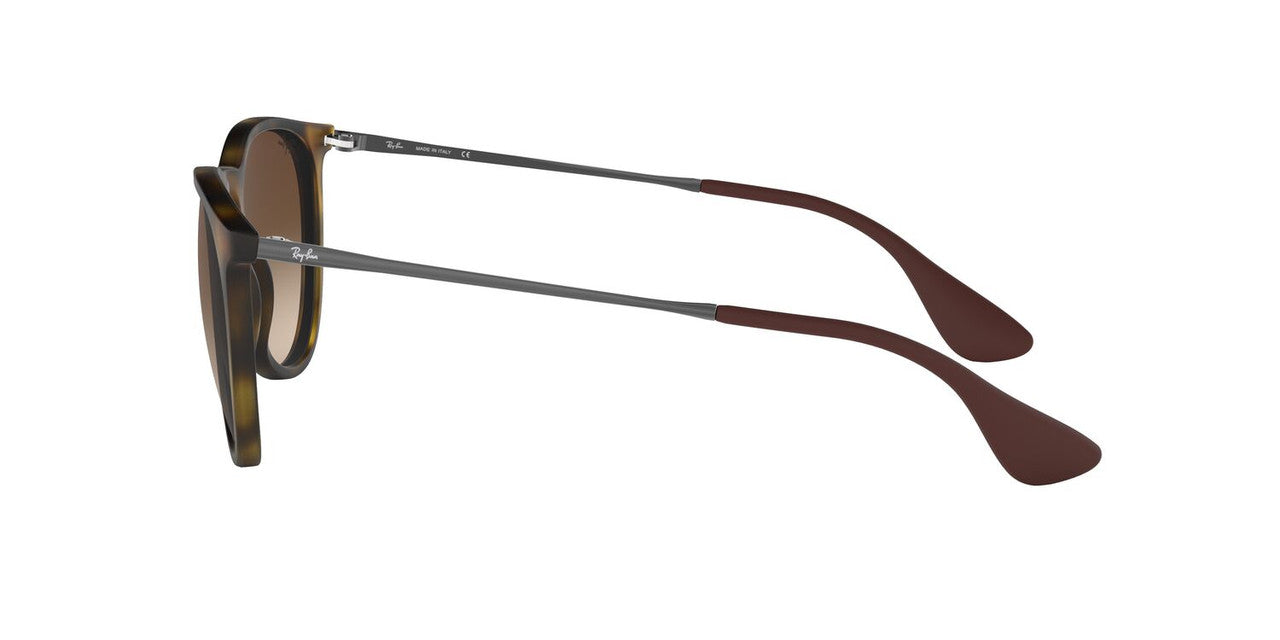 Lentes De Sol Ray-Ban RB4171 Carey/Plateado