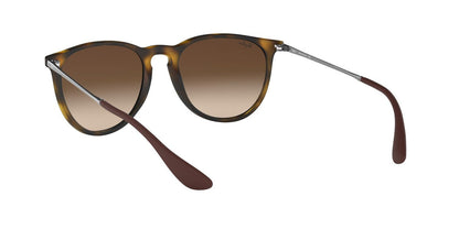 Lentes De Sol Ray-Ban RB4171 Carey/Plateado