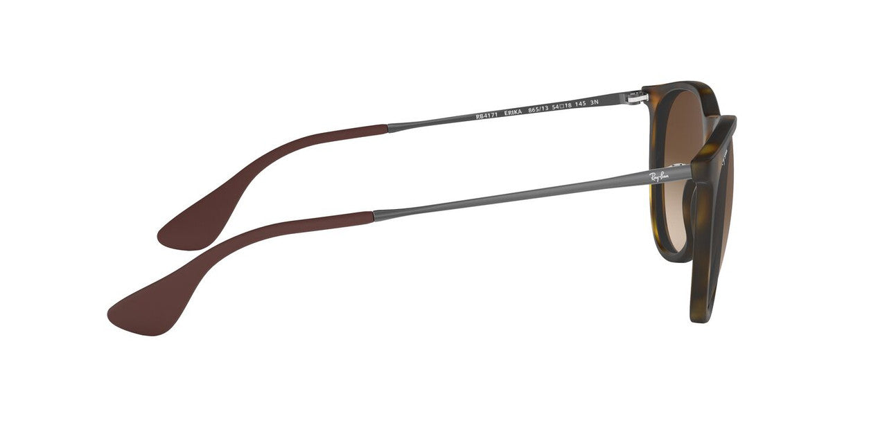 Lentes De Sol Ray-Ban RB4171 Carey/Plateado