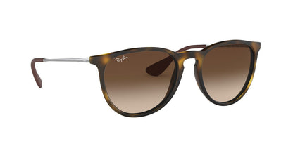 Lentes De Sol Ray-Ban RB4171 Carey/Plateado