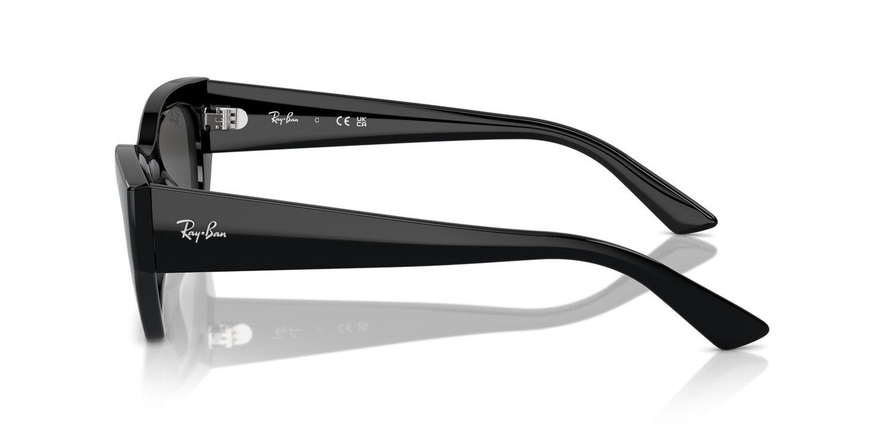 Lentes De Sol Ray-Ban RB4430 Negro