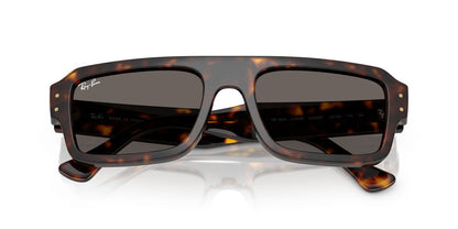 Lentes De Sol Ray-Ban RB4454 Carey