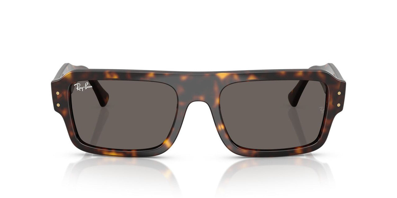 Lentes De Sol Ray-Ban RB4454 Carey