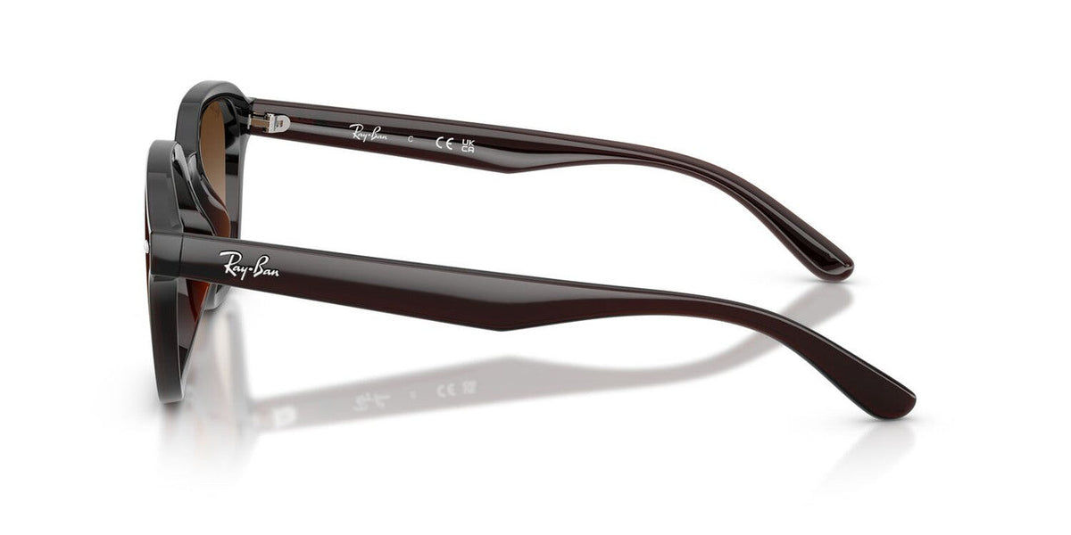 Lentes De Sol Ray-Ban RB4458D Cafe Transparente