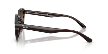 Lentes De Sol Ray-Ban RB4458D Cafe Transparente