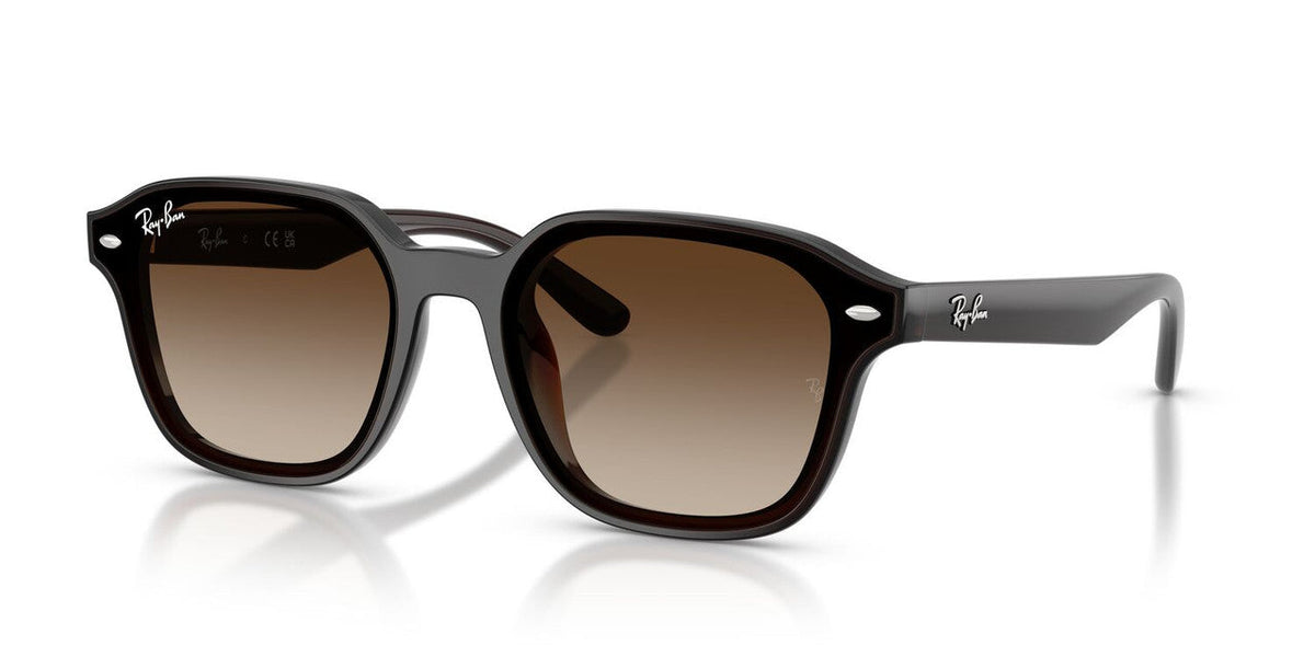 Lentes De Sol Ray-Ban RB4458D Cafe Transparente