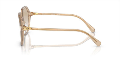Lentes De Sol Swarovski SK6003 Beige