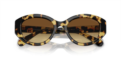 Lentes De Sol Swarovski SK6005 Carey