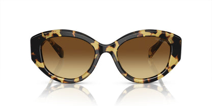 Lentes De Sol Swarovski SK6005 Carey