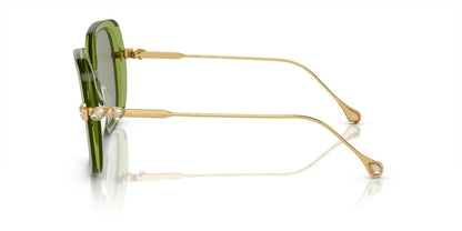 Lentes De Sol Swarovski SK6011 Verde Transparente