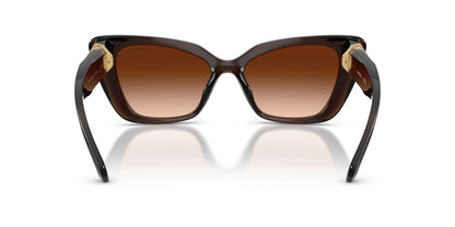 Lentes De Sol Swarovski SK6047 Cafe Transparente