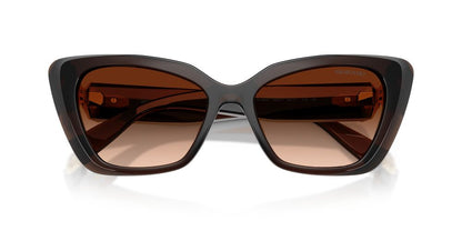 Lentes De Sol Swarovski SK6047 Cafe Transparente