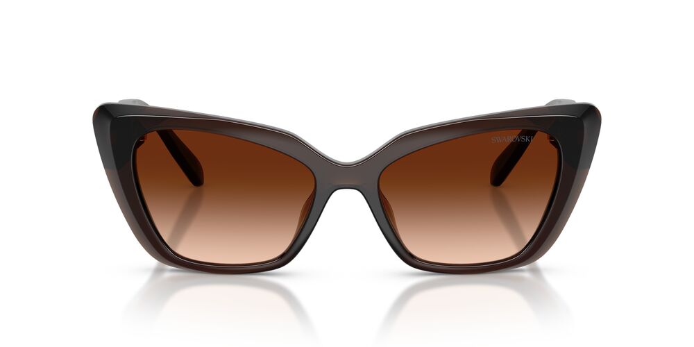 Lentes De Sol Swarovski SK6047 Cafe Transparente