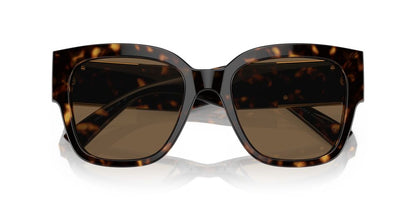 Lentes De Sol Versace VE4437-U Carey